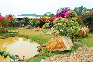 佛山 秋游盈香生態(tài)園 邊玩邊學(xué)長見識