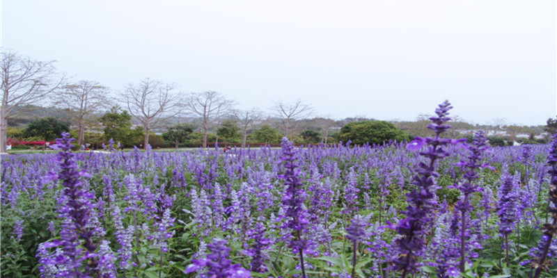 永記生態(tài)園門票價(jià)格-永記生態(tài)園門票預(yù)訂-永記生態(tài)園