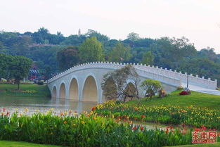 詔安南山文化生態(tài)園 演繹建設(shè)發(fā)展新篇章